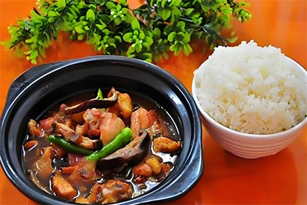 柏氏黃燜雞米飯加盟