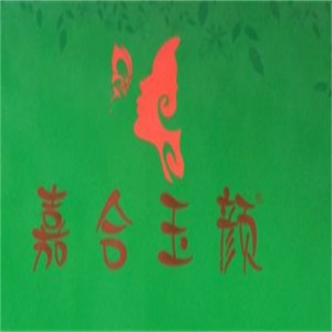 嘉合玉顏祛斑祛痘加盟