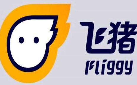飛豬機(jī)場接送加盟