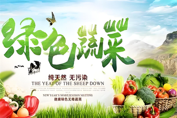噠蔬凈菜加盟