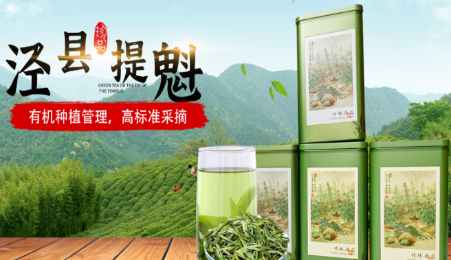束氏提魁加盟