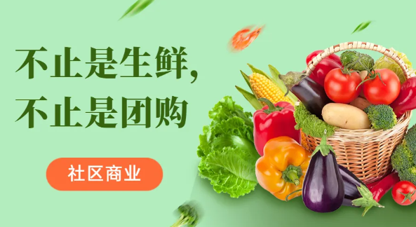 多米社區(qū)團(tuán)購(gòu)加盟