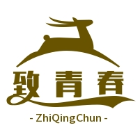 致青春串串香加盟