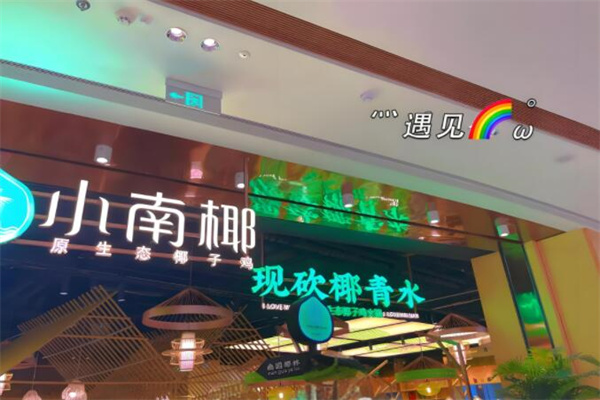 小南椰原生態(tài)椰子雞加盟