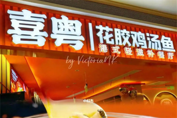 喜粵花膠雞湯魚