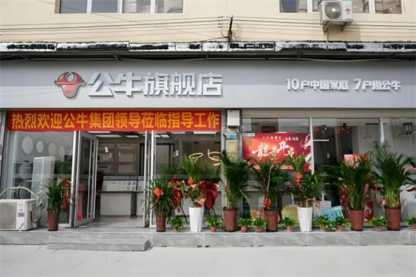 公牛裝飾加盟