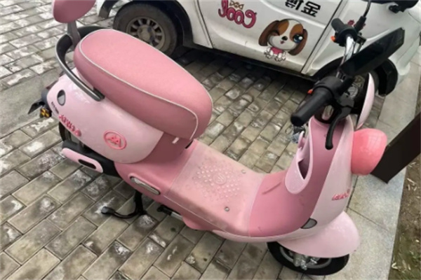 愛(ài)瑪電動(dòng)車智能加盟