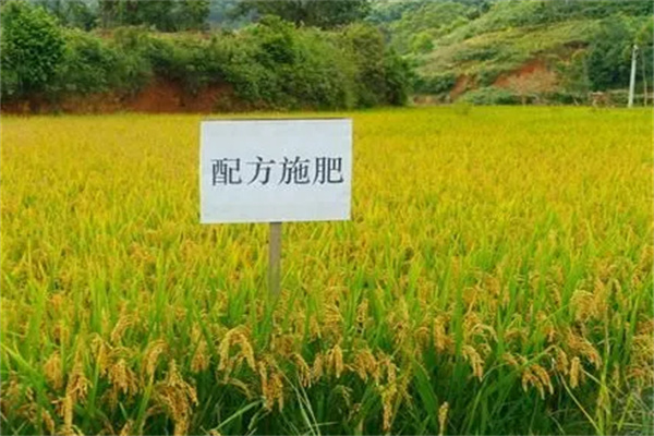 中農(nóng)測土配方施肥加盟