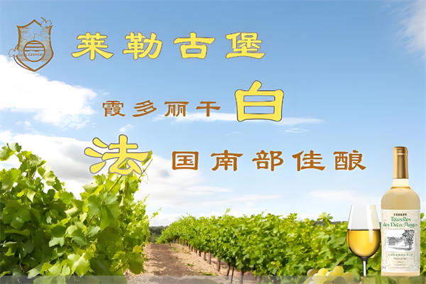 萊勒古堡葡萄酒加盟