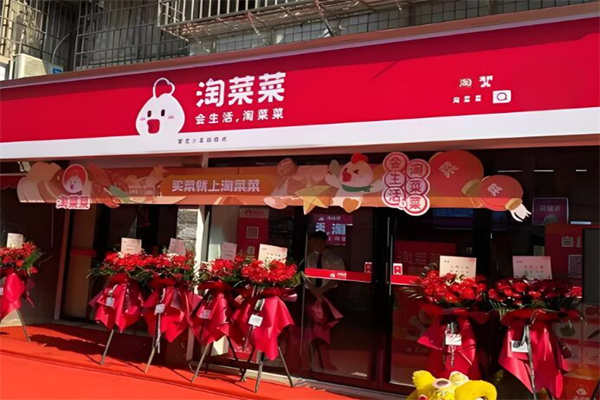 淘菜菜加盟