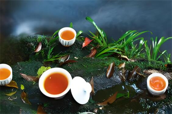 全福連鎖茶業(yè)加盟