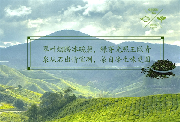 霧峰茶葉加盟