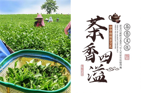 芳儒茗茶加盟