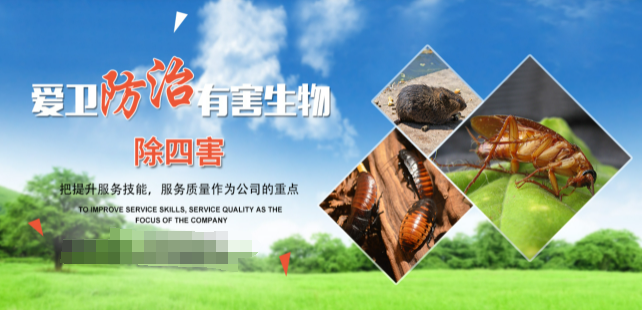 愛(ài)衛(wèi)除四害用品加盟
