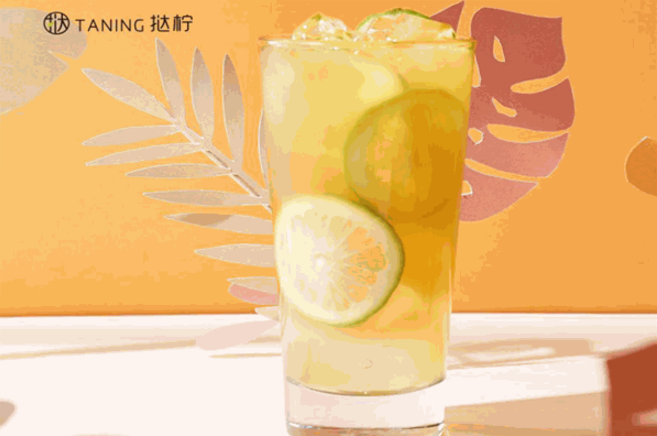 撻檸檸檬茶加盟
