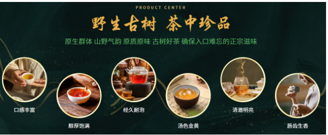 云嶼山古樹茶加盟