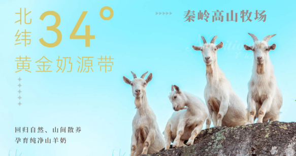 羊啟家羊奶粉加盟