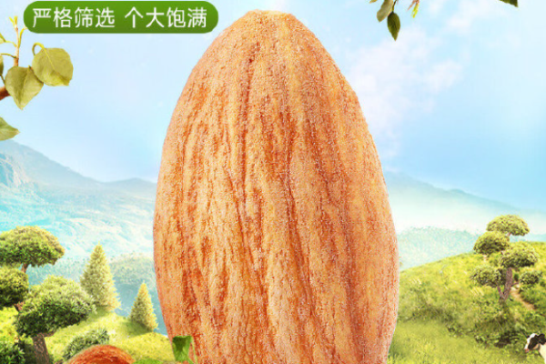 如水堅(jiān)果加盟