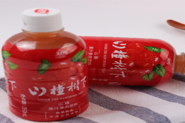 山楂樹(shù)下飲料加盟