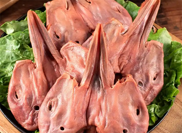 鴨叫獸食品加盟