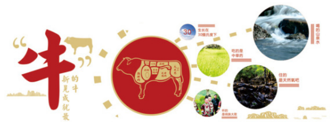 新晃黃牛肉加盟