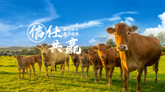 新晃黃牛肉加盟