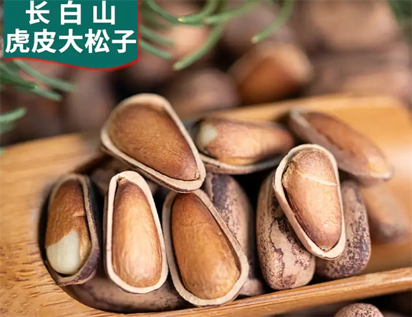 長白山鑫龍食品加盟