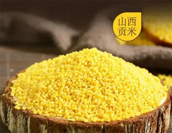 吳閣老食品加盟