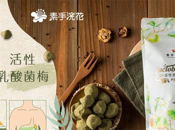 素手浣花食品加盟