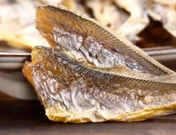 魚專家休閑食品加盟