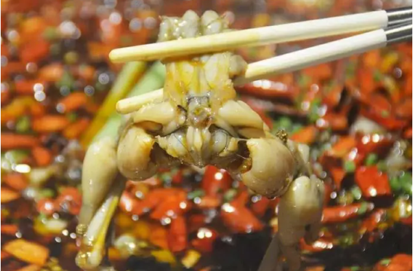 美蛙魚(yú)當(dāng)家火鍋加盟