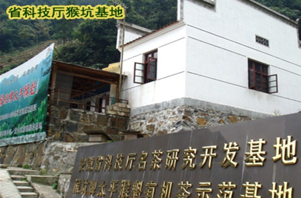太平猴魁茶葉加盟