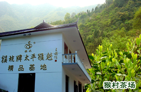 太平猴魁茶葉加盟