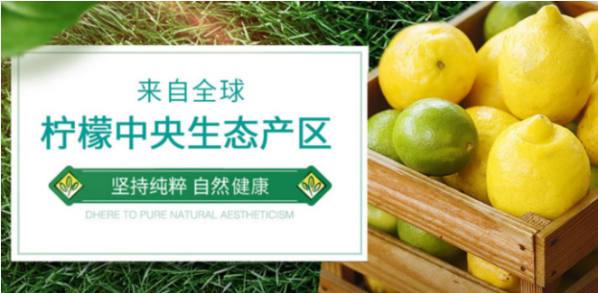 華通檸檬加盟