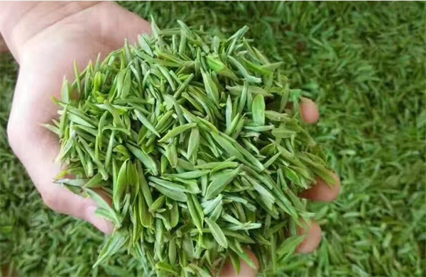 福瑞璟茶業(yè)加盟