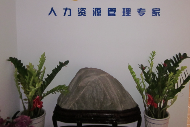 在上海開人力資源公司投資大嗎？深度解析行業(yè)成本與風險