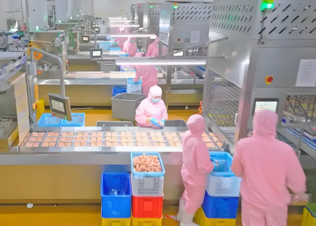 上海開速凍食品加工廠前期投資多少？前期投資全解析