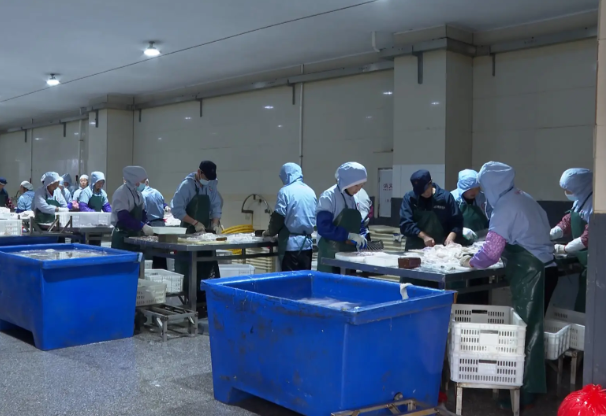 上海小型速凍食品廠投資多少錢