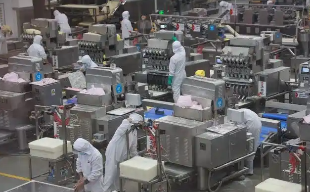 上海開速凍食品加工廠前期投資多少？前期投資全解析