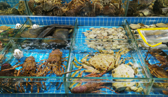 上海開開海鮮門市要投資多少錢？上海開海鮮門市投資指南
