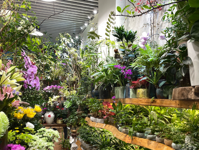上海開一家花店投資多少錢？全流程成本解析與實戰(zhàn)指南