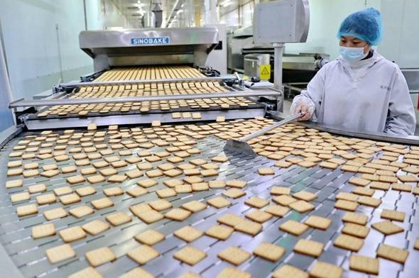 上海餅干廠投資需要多少錢？運(yùn)營成本分析