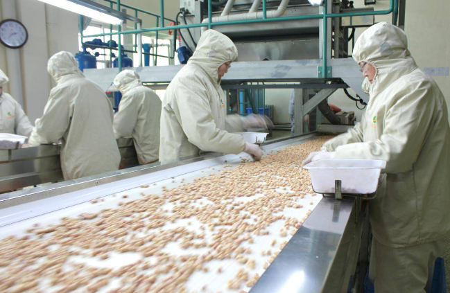 上海開個(gè)花生加工廠得投資多少錢？全方位投資分析