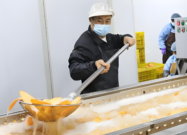 上海薯片廠投資多少？上海薯片廠投資全解析