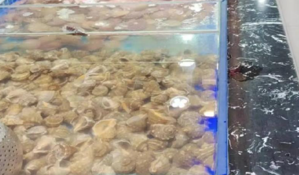 開(kāi)一家自助海鮮店大概投資多少錢(qián)？核心成本構(gòu)成