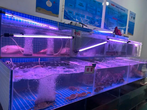 開水產(chǎn)批發(fā)價店要多少錢？開水產(chǎn)批發(fā)價店成本全解析