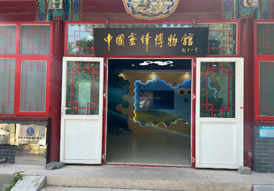 開蜜蜂博物館要多少錢？全維度成本解析