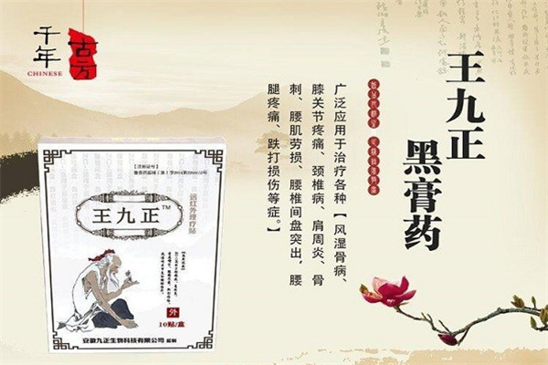 王九正養(yǎng)生加盟