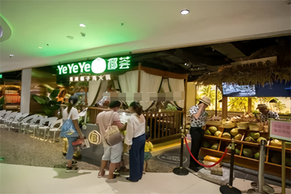 椰薈海南椰子雞