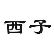 西子流派女裝加盟